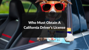 Who Must Obtain A California Driver’s License featured image