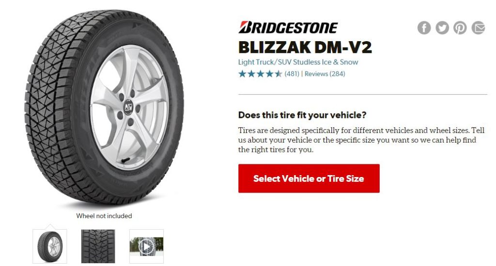 Bridgestone Blizzak DM V2